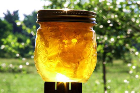 Honey is amazing…